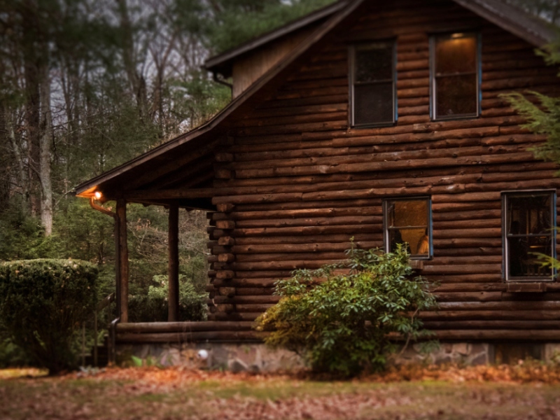 Reveries #2 : The Cabin in the Woods