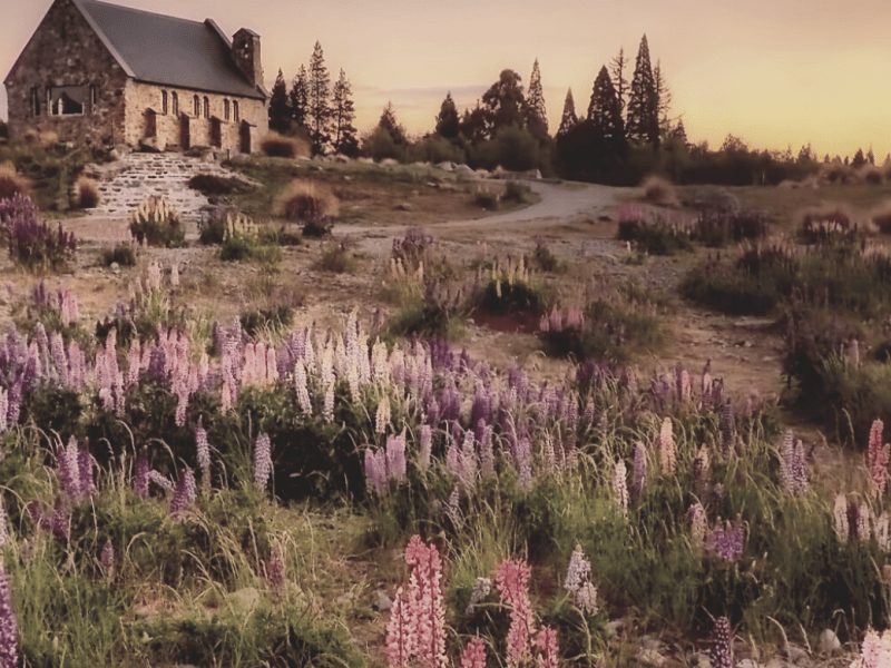 Reveries #3: Cottagecore&nbsp;Escape