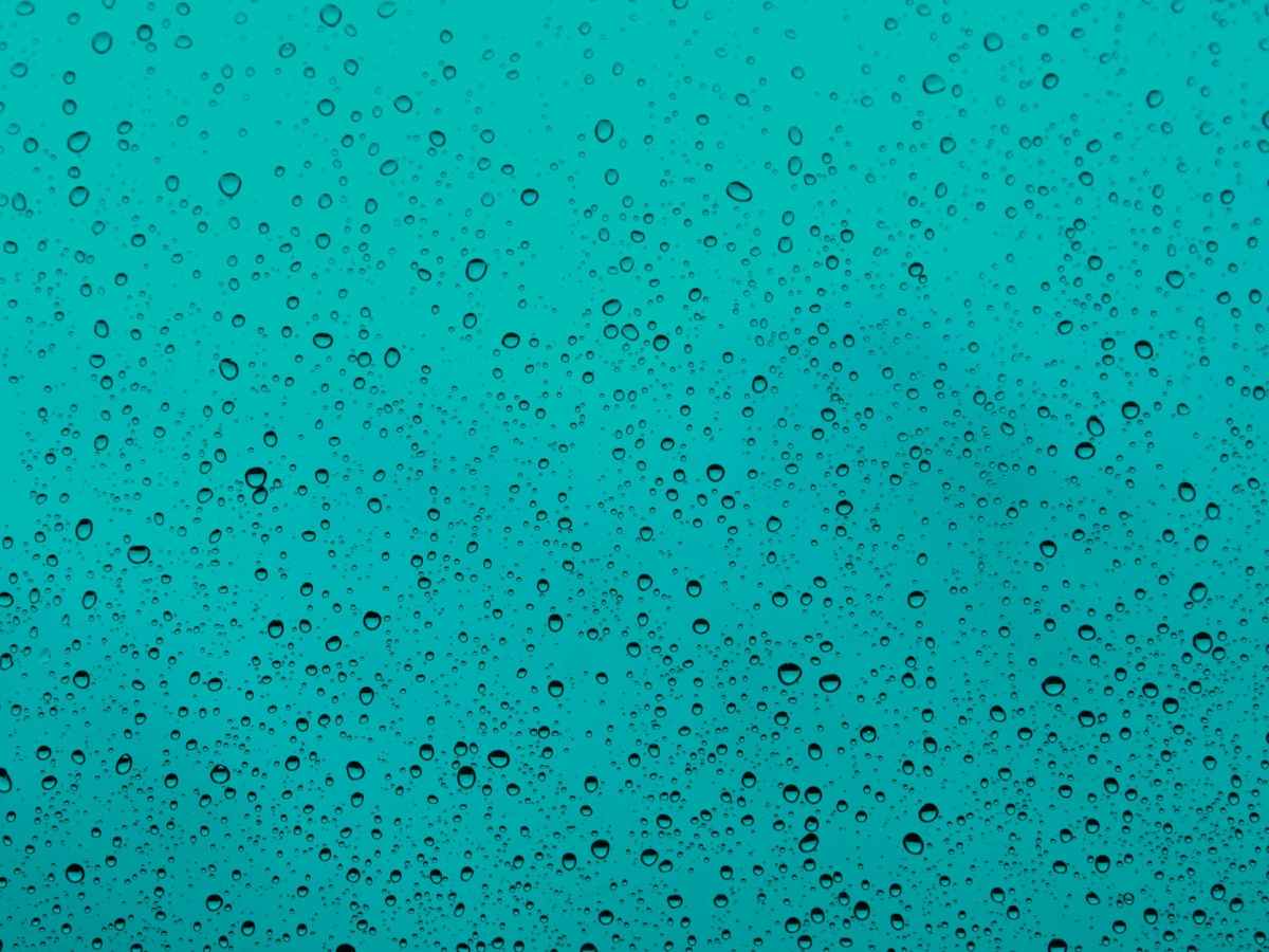 The Artists and The&nbsp;Rain