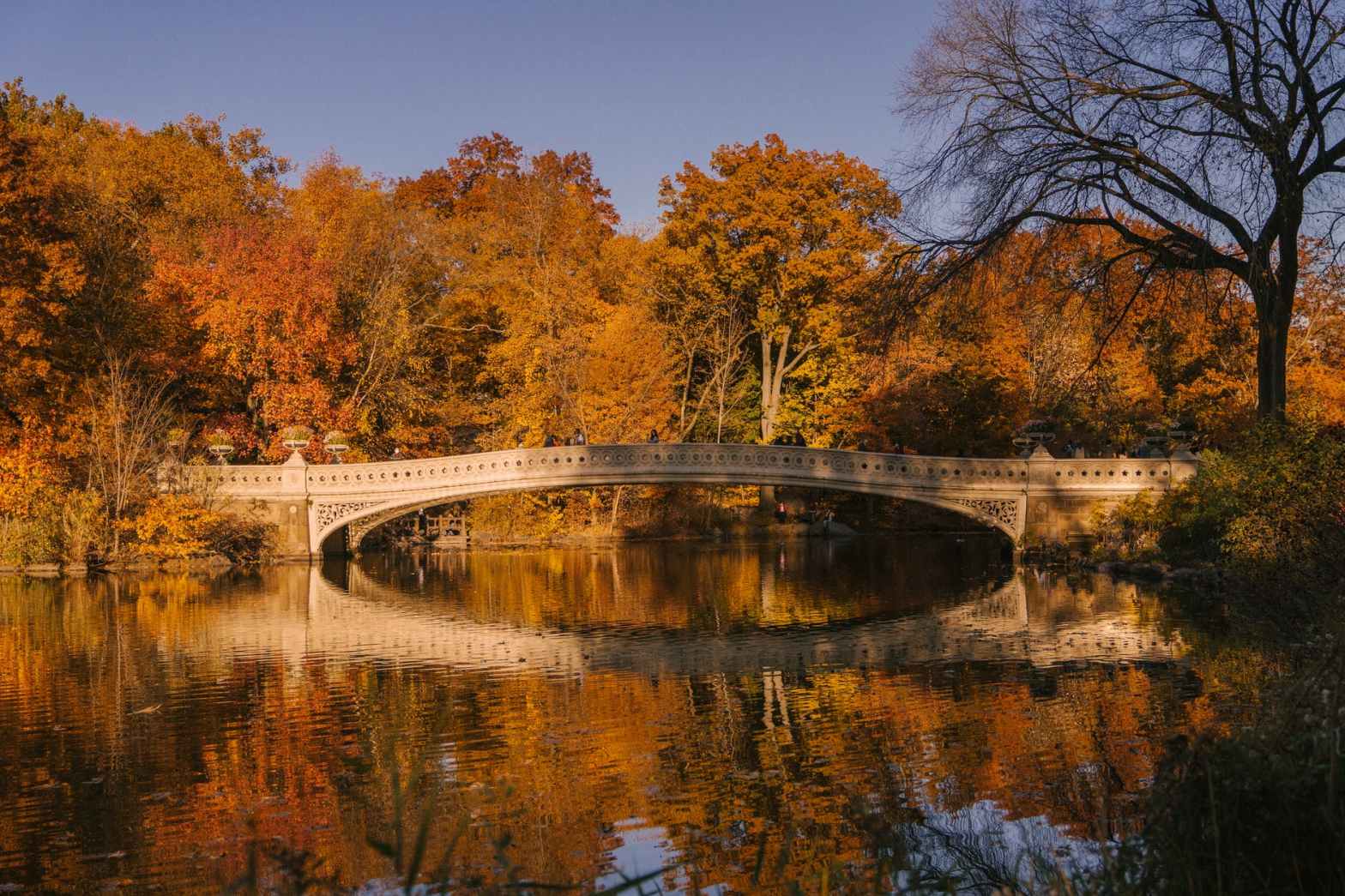 bow bridge over calm lake placed in autumn park