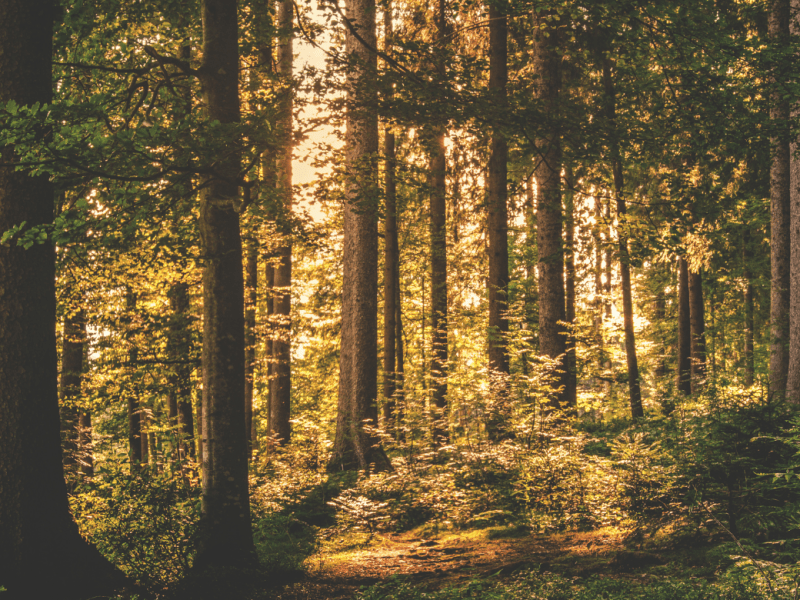 Life came back in waves of&nbsp;music