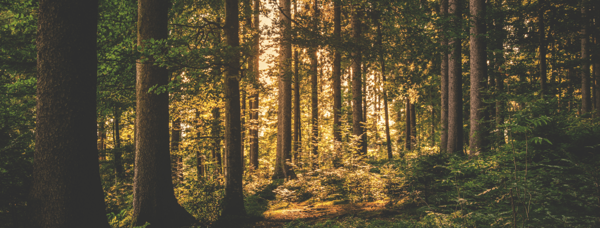 Life came back in waves of&nbsp;music